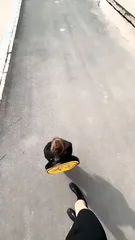 王者荣耀冠军杯