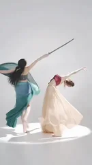 chinesefemdom双女王