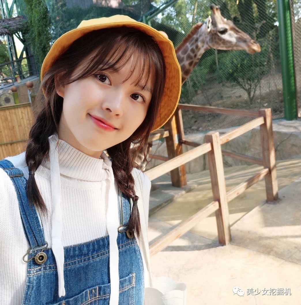 狼群资源在线高清免费观看
